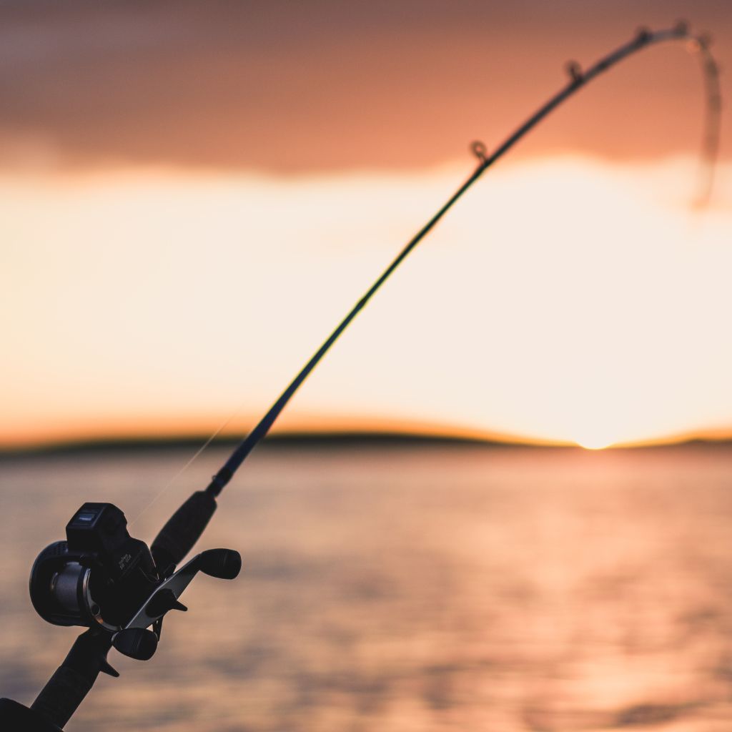Rod Sport Rods - Swakop Sport