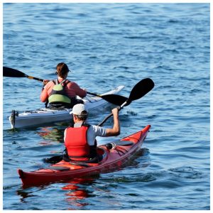 Kayaks